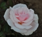 elizabeth-casson3