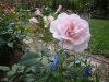 elizabeth-casson6