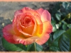 gartenspas