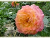 gartenspas