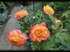 gartenspas