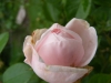 william-egan2