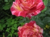 camille-pissarro13