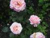 claude-monet