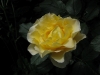 france-info2