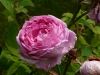 lord-penzance-1.jpg