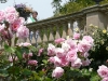 sweetheart-1a.jpg