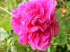 royale-marbre3