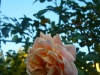 p1070946