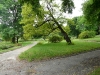 ogrod-botaniczny-lublin2.jpg