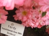 ferdy