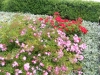 linderhof3