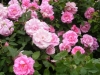 park-wilhemshoe4