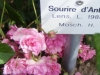 sourire-dantan