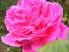 francois-d-arago-jpg2_