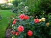 summer-song