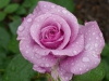 neptune_0