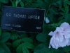 sir-thomas-lipton