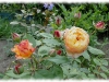 dsc01728