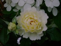 dsc00063