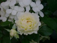dsc00064