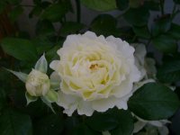 dsc00065